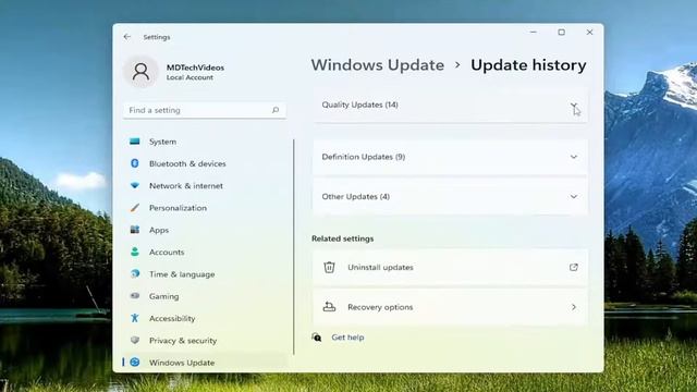 How to View Update History in Windows 11/10 [Tutorial] смотреть онлайн