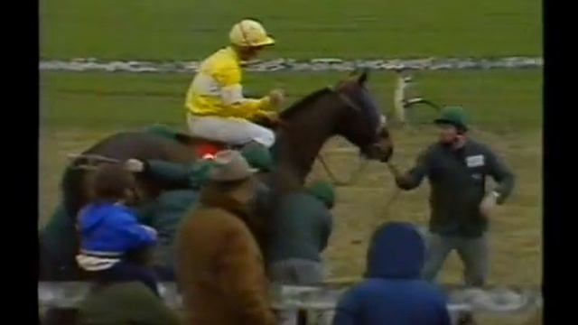 Horse Racing 1986 Lincoln Handicap Doncaster смотреть онлайн