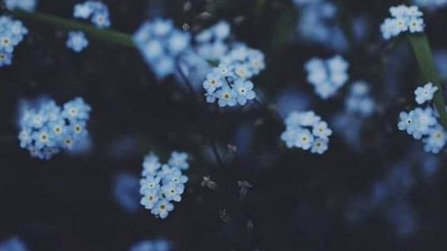 heart to heart X wubalubadubdub 1 hour смотреть онлайн