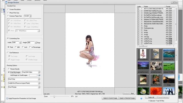 How to resize images with ImageCool Converter or Graphics Converter Pro 2013 смотреть онлайн