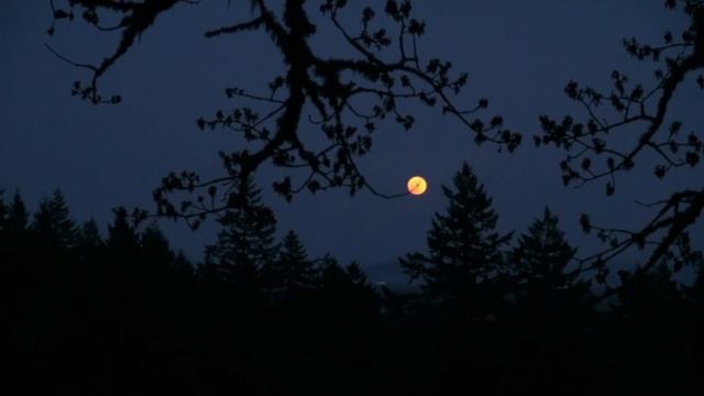 "Logs from the Lookout" ▌COMPLETE▐ Creepypasta смотреть онлайн