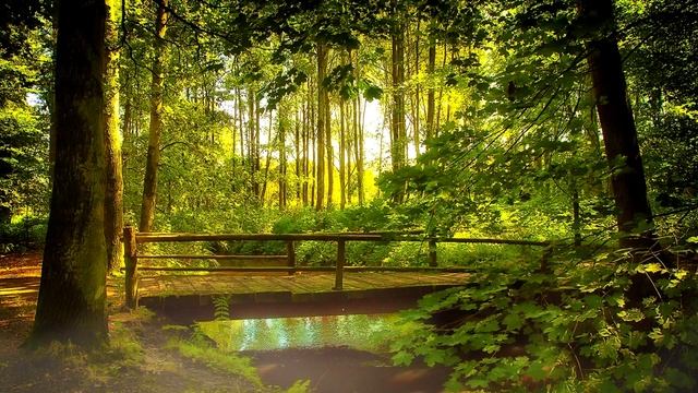 Beautiful Peaceful Ringtone Alarm | Free Ringtones Download смотреть онлайн
