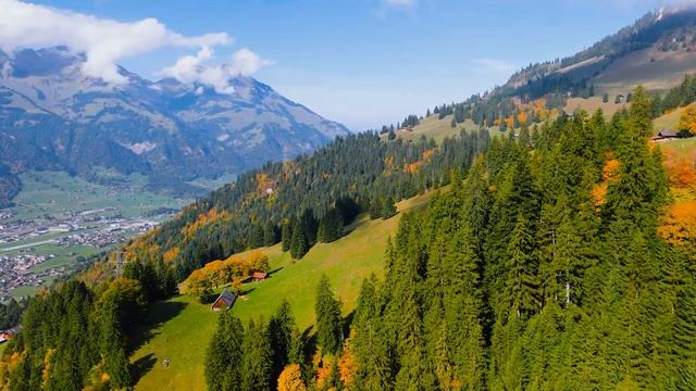 Классическая музыка расслабляет душу и сердце - Моцарт, Шопен, Чайковский, Рахманинов, Бах #98 смотреть онлайн