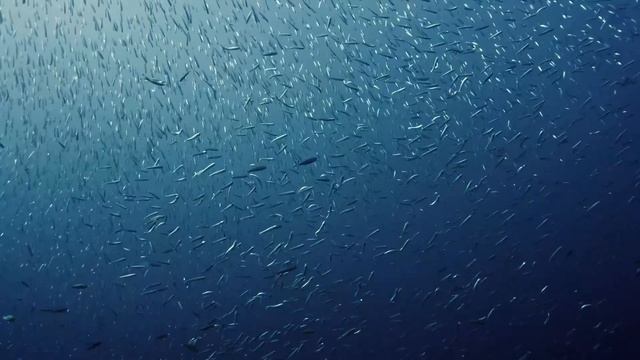 "Одиннадцатый Шаг". 27 октября. Мелоди Битти. Ежедневник для созависимых. смотреть онлайн