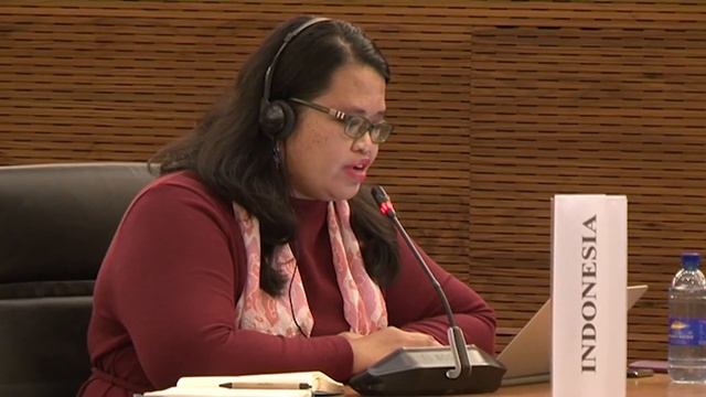 MAC Protocol Diplomatic Conference - Concluding Remarks by the Delegation of Indonesia смотреть онлайн