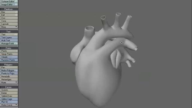 Lightwave 3D | Modeling a Human Heart - Introduction смотреть онлайн