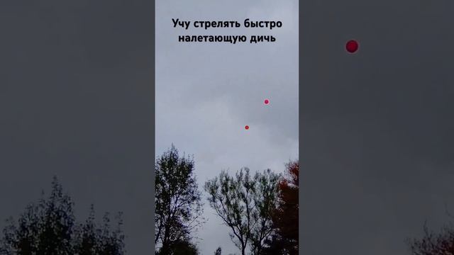 Учу стрелять быстро налетающую дичь смотреть онлайн