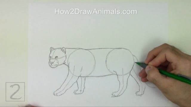 Jaguar Time-lapse (Speed) Drawing смотреть онлайн