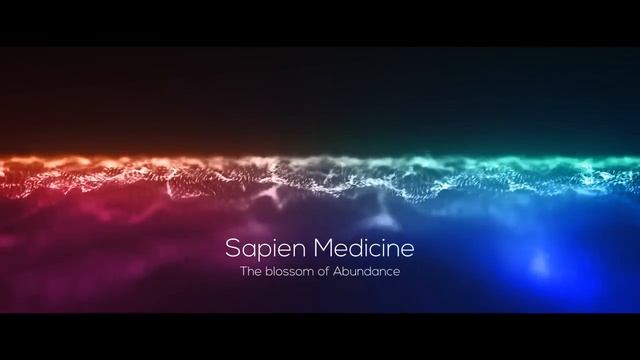 The Blossom of Abundance (Mind Program Series 3) смотреть онлайн