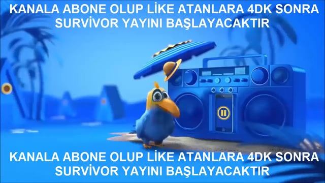 TV8 CANLI YAYIN - SURVİVOR CANLI IZLE HD