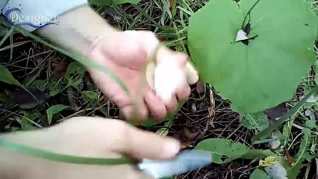 Тихая охота. смотреть онлайн