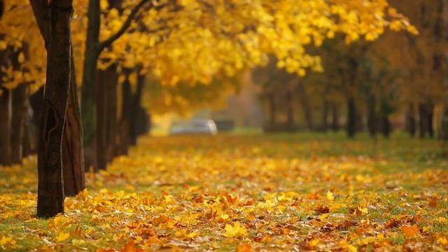 NO Copyright full Background Video смотреть онлайн