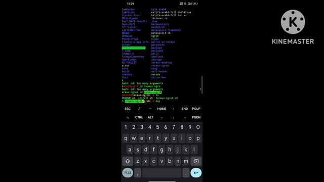ETHICAL HACKING || DOWNLOAD NGROK IN ANDROID TERMUX || BIGGNERS TO PRO HACKER смотреть онлайн