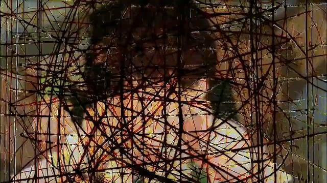 𝘽𝙡𝙖𝙨𝙩 𝙊𝙛𝙛 Neon Genesis Evangelion「AMV」 смотреть онлайн