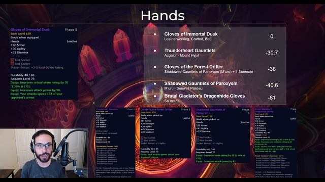Phase 5 TBC - Feral Druid - Loot Guide for Physical DPS смотреть онлайн