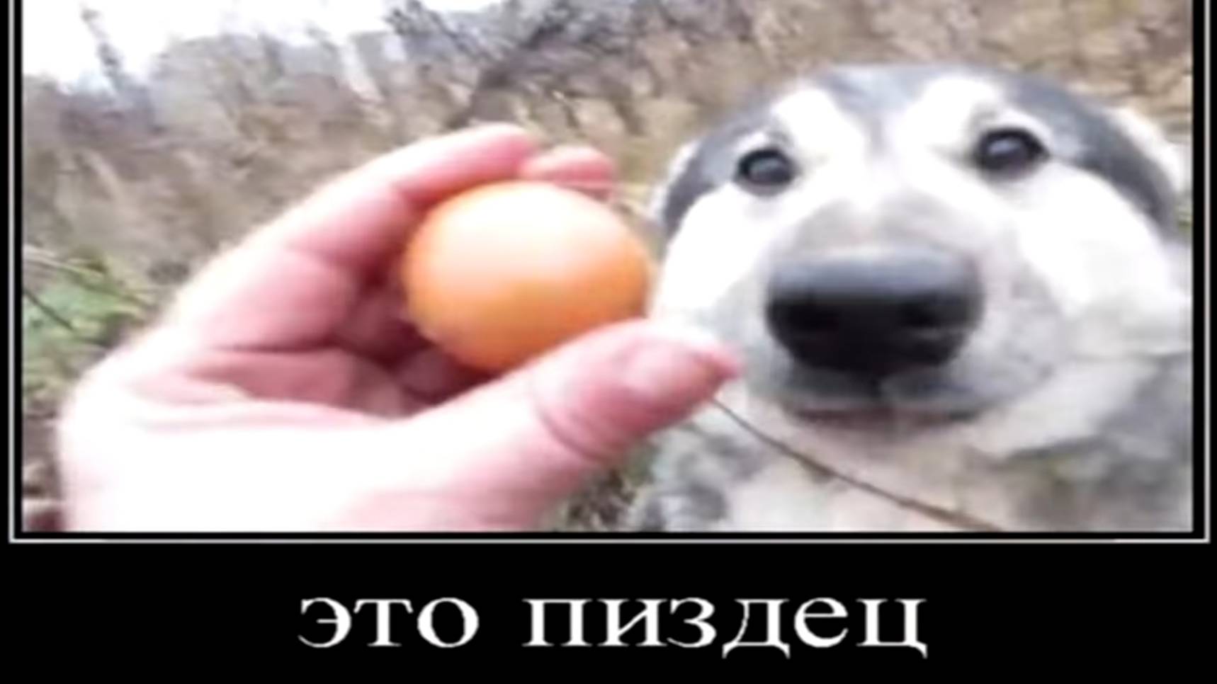 Дб ковш Gee_Force смотреть онлайн