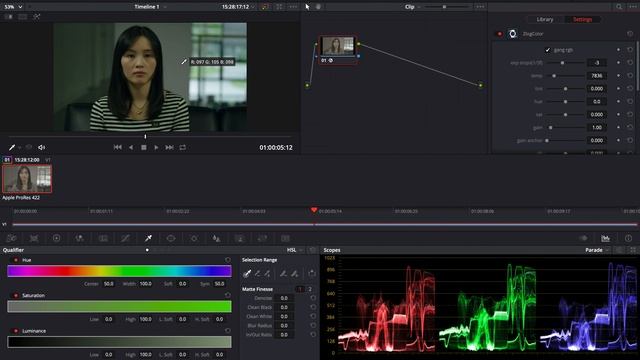 Z CAM_LUT Plugin_Tutorial 1 смотреть онлайн