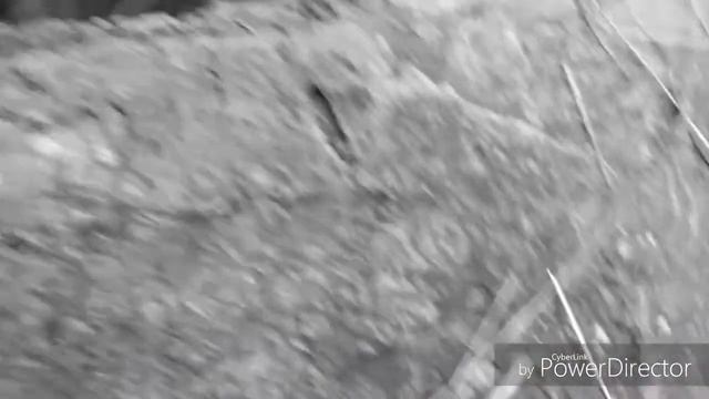 Влог:4-ый,Заброшенный бассейн,украли канат,котакомбы,Я об%срался смотреть онлайн