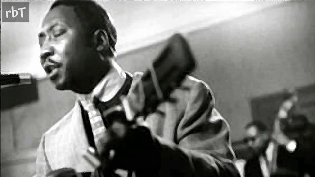 Muddy Waters - Louisiana Blues - Cambridge 1966 (Live Audio)