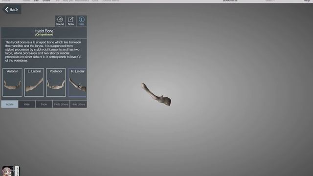 Aplicación Essential Skeleton 4 смотреть онлайн