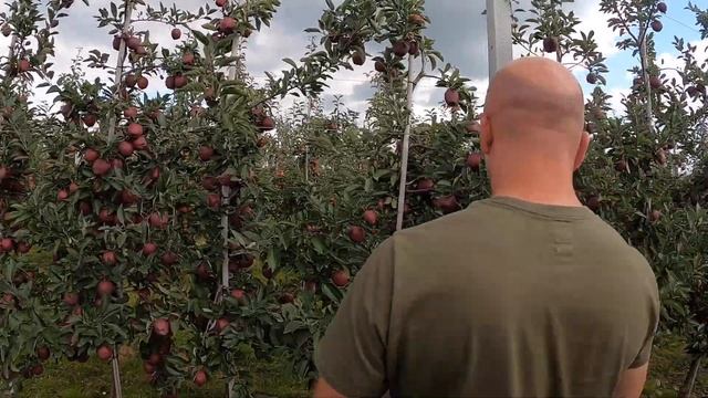 Red Delicious / Jeromine - 13.09.2021 u Kamila Porady смотреть онлайн