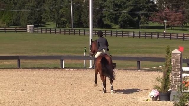 Bravo ridden by Rachel Rosenthal | 1.20m 10/7/17 Princeton смотреть онлайн