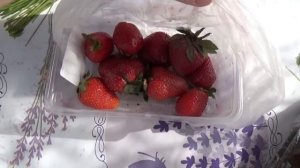 ВЛОГ Едем в сад к дедушке и бабушке с ночевкой ♡ Кушаем клубнику ♡ Жарим мясо