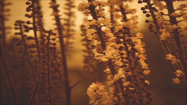 Fleetwood Mac - The Chain (TYR Remix) [Stimulate EP] смотреть онлайн