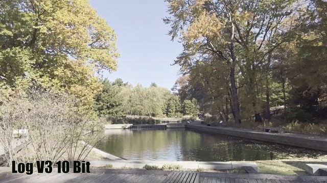 Filmic Pro 10 Bit DaVinci Resolve HD 1080p смотреть онлайн