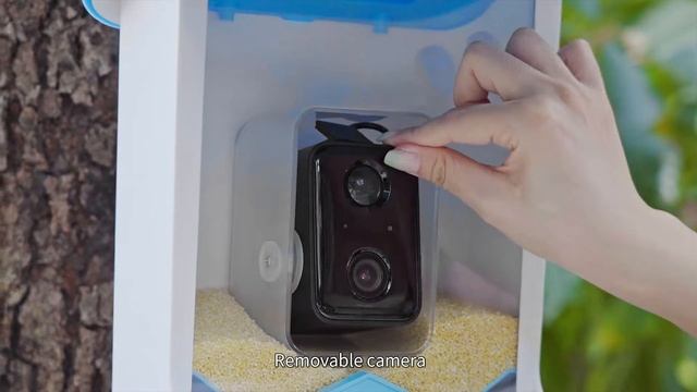 Smart bird feeder camera with AI bird recognition funtion смотреть онлайн
