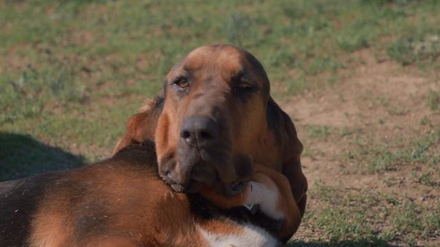 RAW UNCUT 4K | Panasonic GH6 | 12-60mm смотреть онлайн