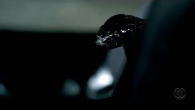 CSI NY Sweet 16 Clip - Lindsay Gets Bitten By A Snake смотреть онлайн