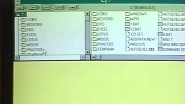 1993-1995?, Microsoft Windows 3.1 Instructional Video Course: Learn The Easy Way смотреть онлайн