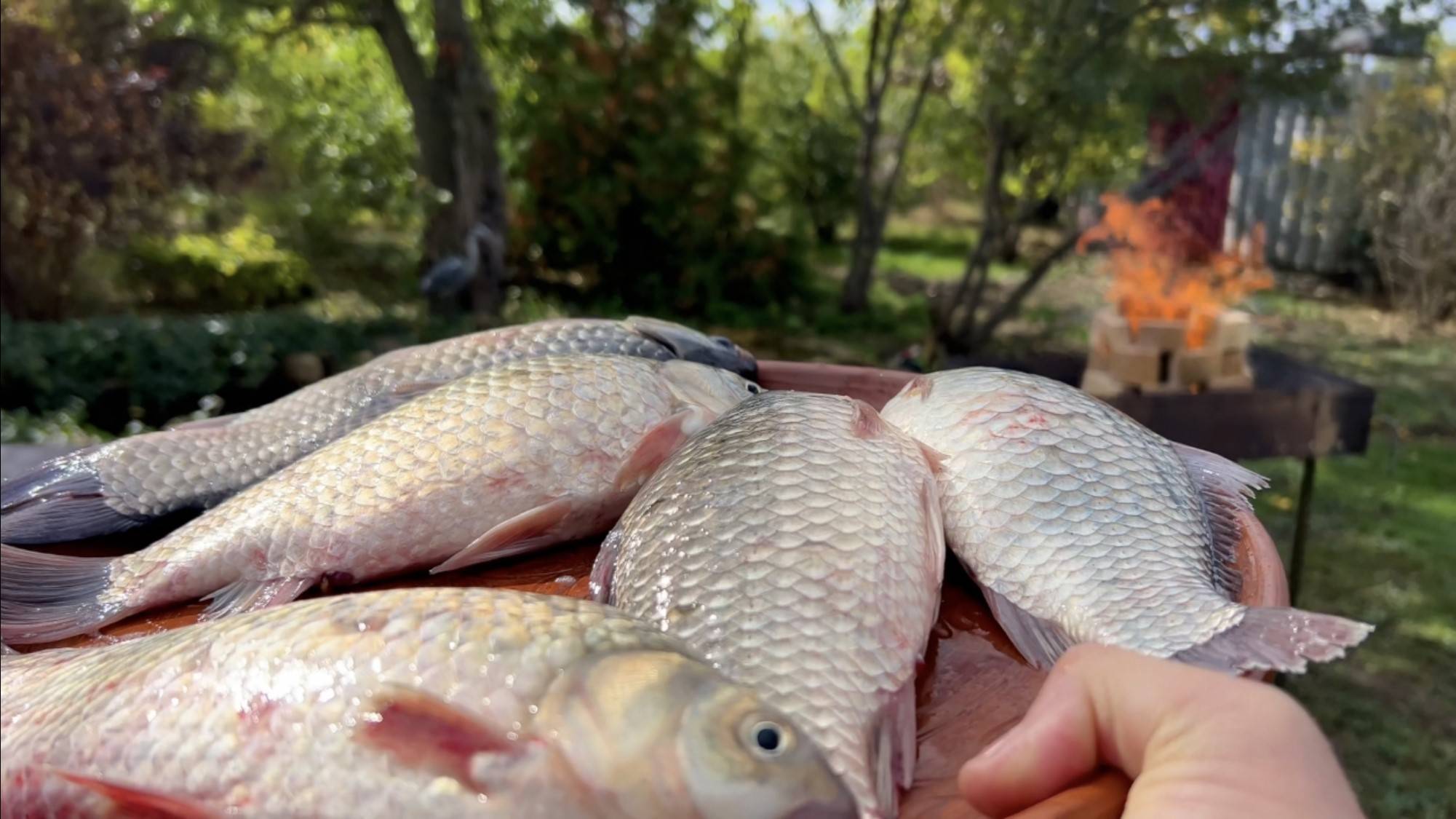 Рыба Жареная - Просто и без Костей смотреть онлайн