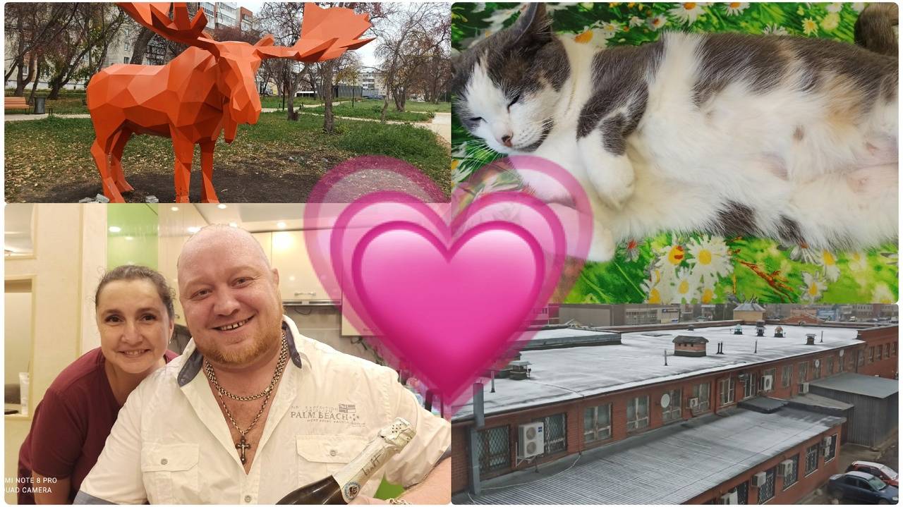 Тот самый лось. Хрустальная свадьба. Урал с блинами-Кубань с карасями. И выпал снег... смотреть онлайн