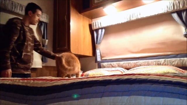 1996 roulotte hornet 32 pide смотреть онлайн