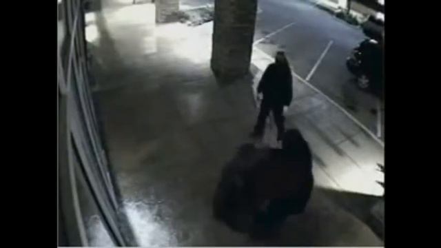 Thieves Attempt to Break Through Window with Window Film on Security Camera смотреть онлайн