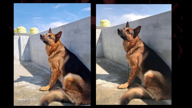 iPhone 7 Plus vs Samsung S21FE - Camera Test !! 2016 VS 2021 смотреть онлайн