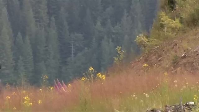 2012 Jeep Patriot смотреть онлайн