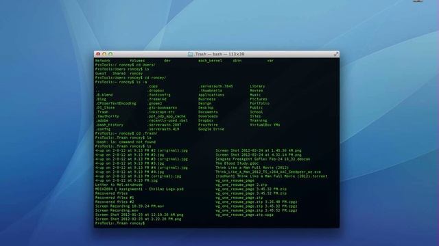 Using Command Line to Empty Mac Trash Bin смотреть онлайн