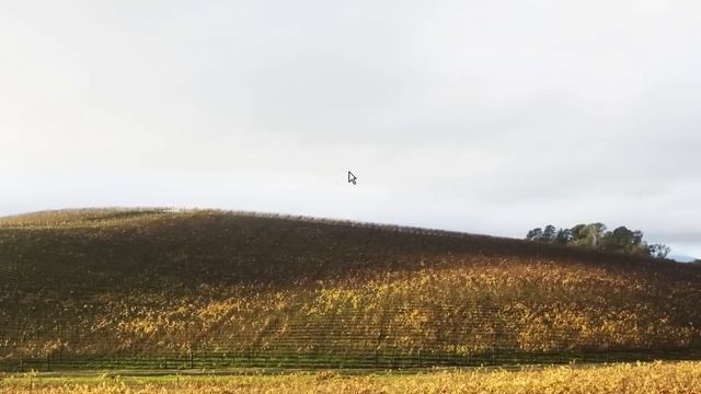 Windows XP final shutdown смотреть онлайн