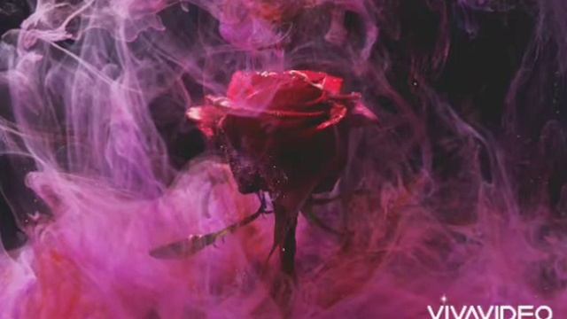 Cleo Mac - FF It Up смотреть онлайн