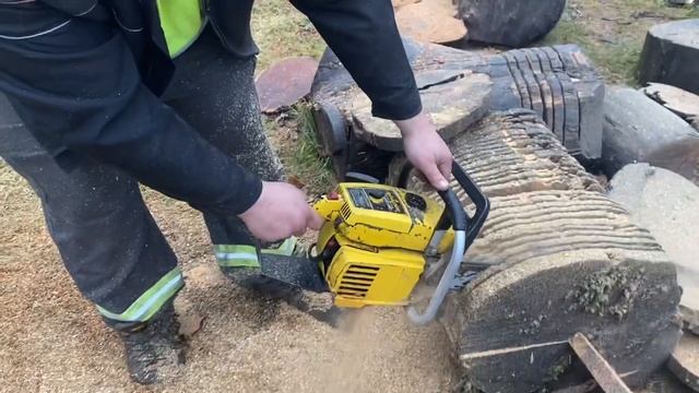 Ported Chainsaw Action! Pro Mac 850! Pioneer 3270! Homelite XL-76! Pioneer 1200! #MufflerDelete10 смотреть онлайн
