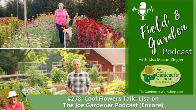 #278: Cool Flowers Talk: Lisa on The Joe Gardener Podcast (Encore) смотреть онлайн