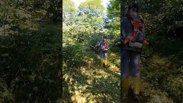 Oleo-mac 453-BP Ergo Motorlu Sırt Tırpan Kullanımı смотреть онлайн