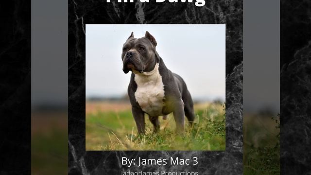 I'm a Dawg смотреть онлайн