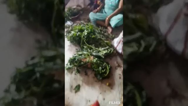 ଗାଁ ରୁ କଣ ସବୁ ଆଣିଛୁ ଦେଖନ୍ତ୍ରୁ/kandhei mohanty swain vlog смотреть онлайн