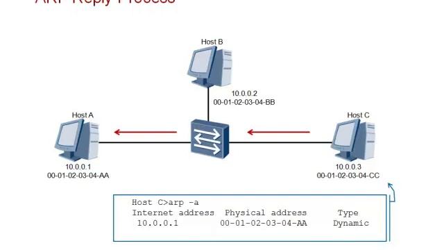 2 5 Address Resolution Protocol | HCIA-Routing & Switching Course Entry Training смотреть онлайн