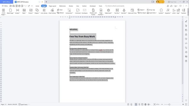 WPS Office How To Copy A Page смотреть онлайн