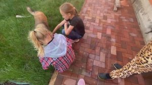 VLOG Алисе СДЕЛАЛИ ОПЕРАЦИЮ на губе и установили дренаж / Наконец-то можно начать уборку в доме !